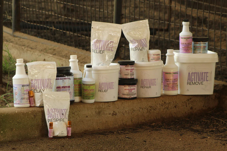 Rodeo Road Essentials