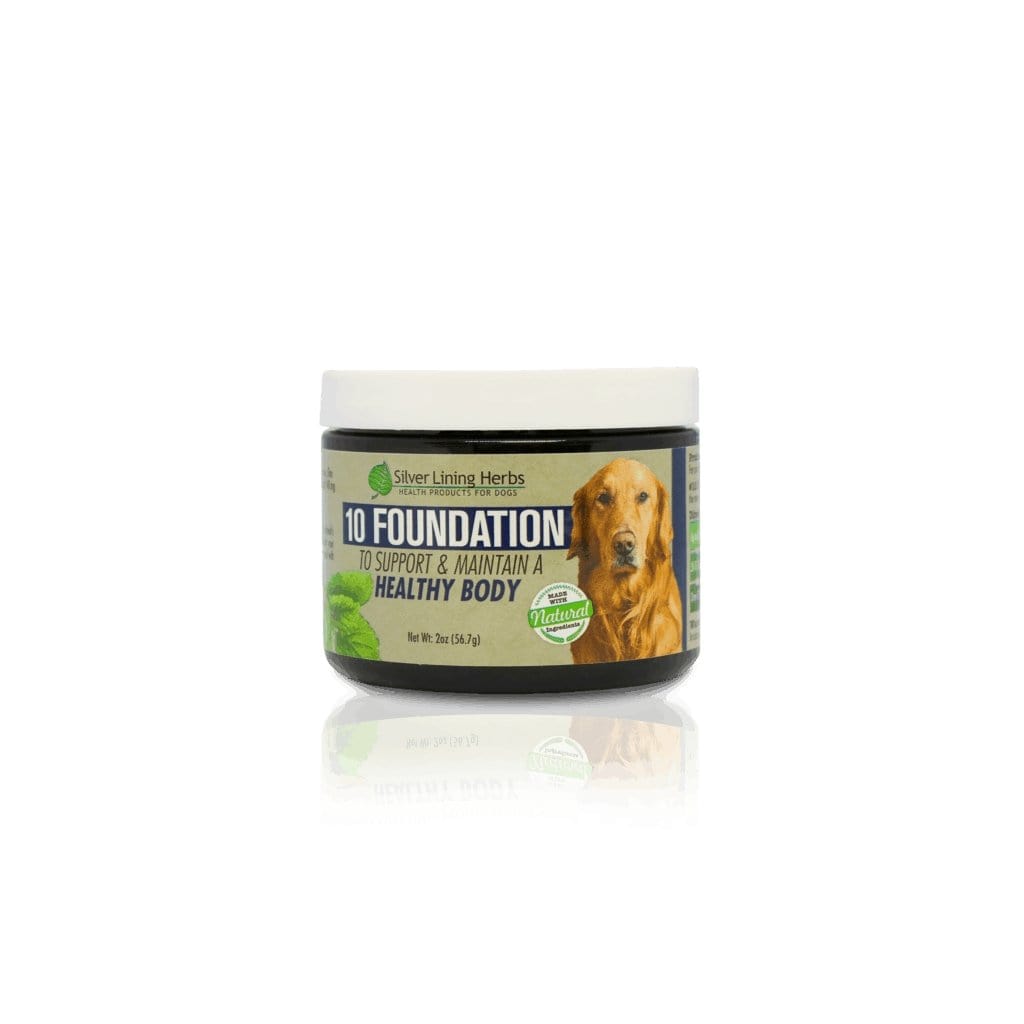 Foundation for Canines