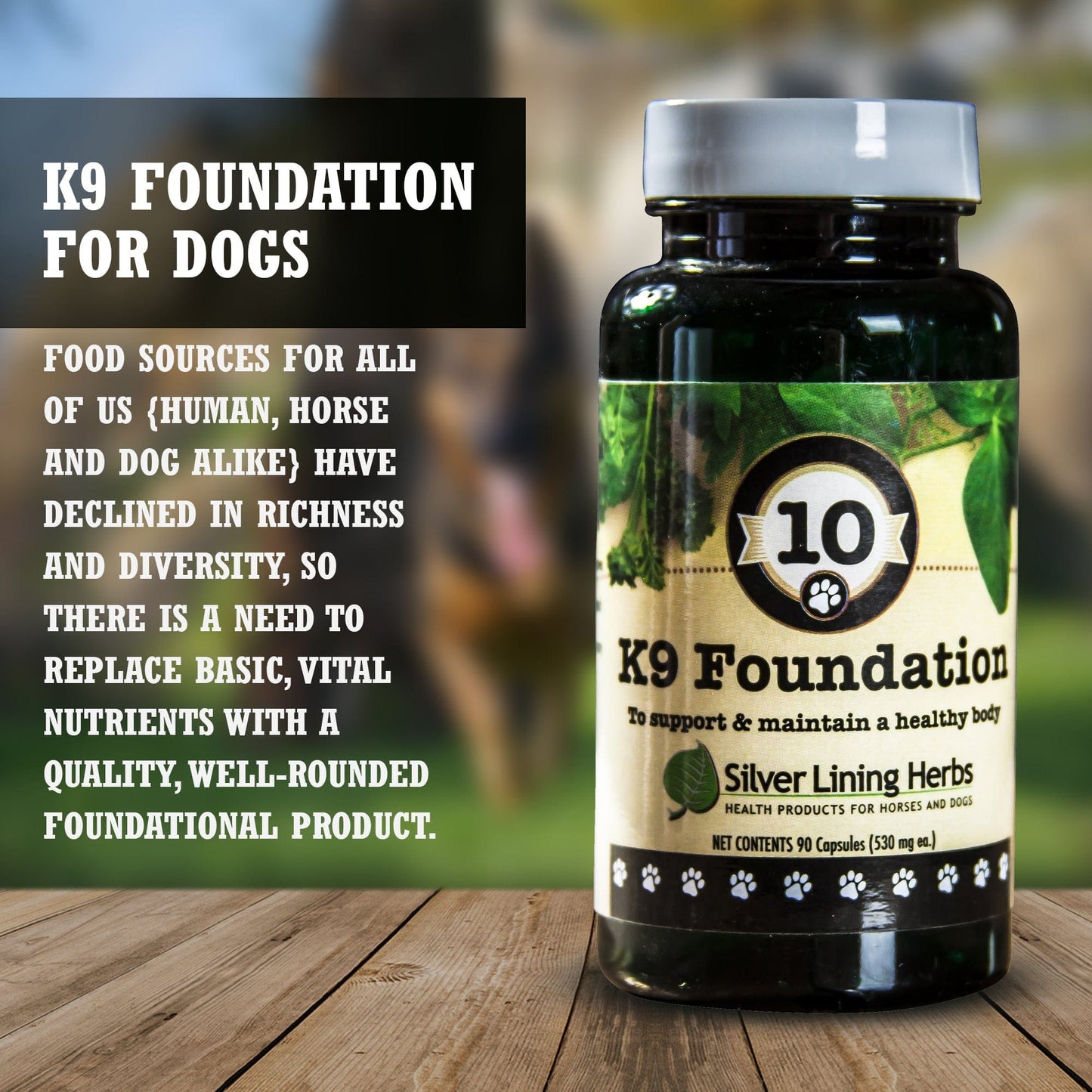 Foundation for Canines