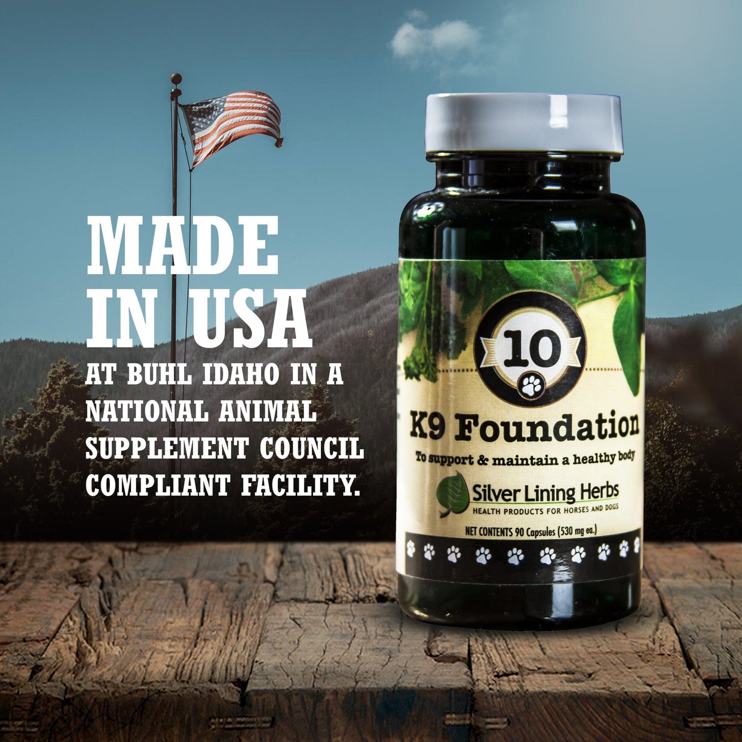 Foundation for Canines