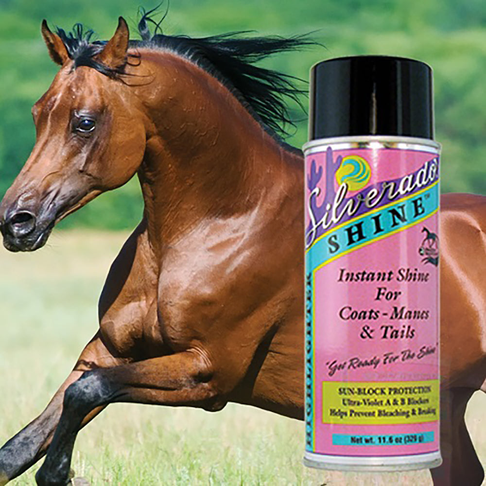 Horse Shine Highlighter Conditioner for Coat, Mane & Tail by Silverado #SSH