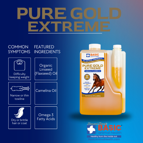 Pure Gold Extreme for Horses