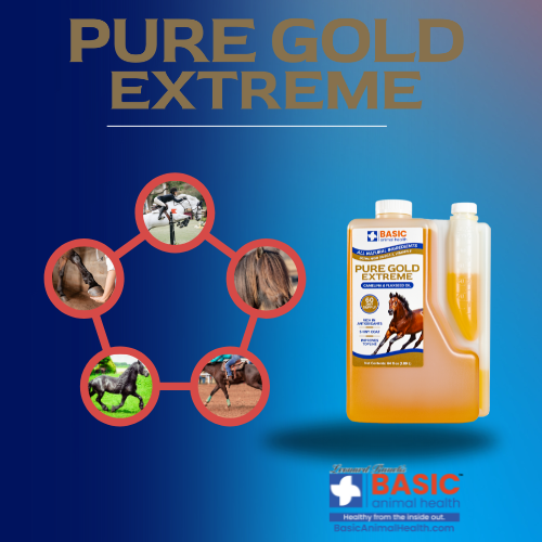 Pure Gold Extreme for Horses