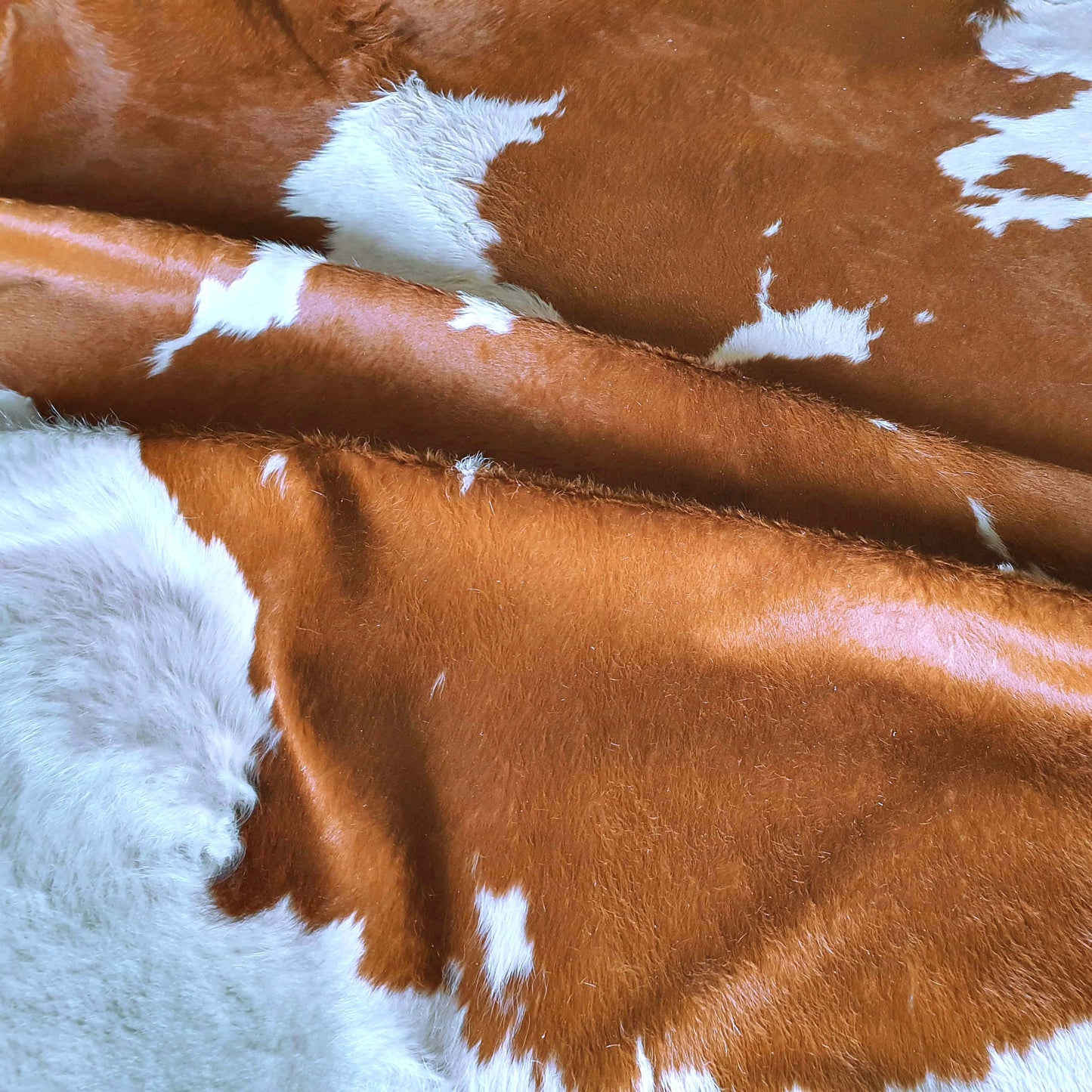 Brown and White Brazilian Cowhide Rug: XXL
