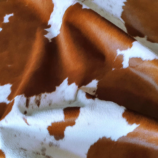 Brown and White Brazilian Cowhide Rug: XXL