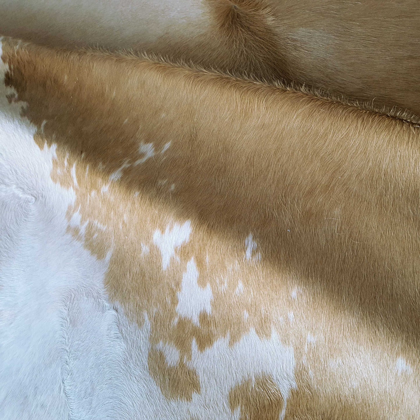 Palomino and White Brazilian Cowhide Rug: LARGE