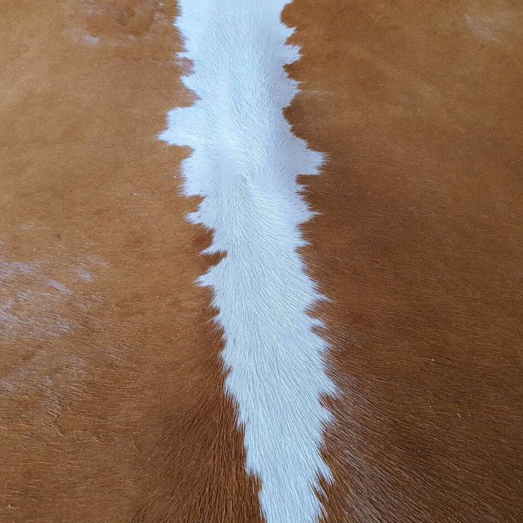 Hereford Brazilian Cowhide Rug: XXL