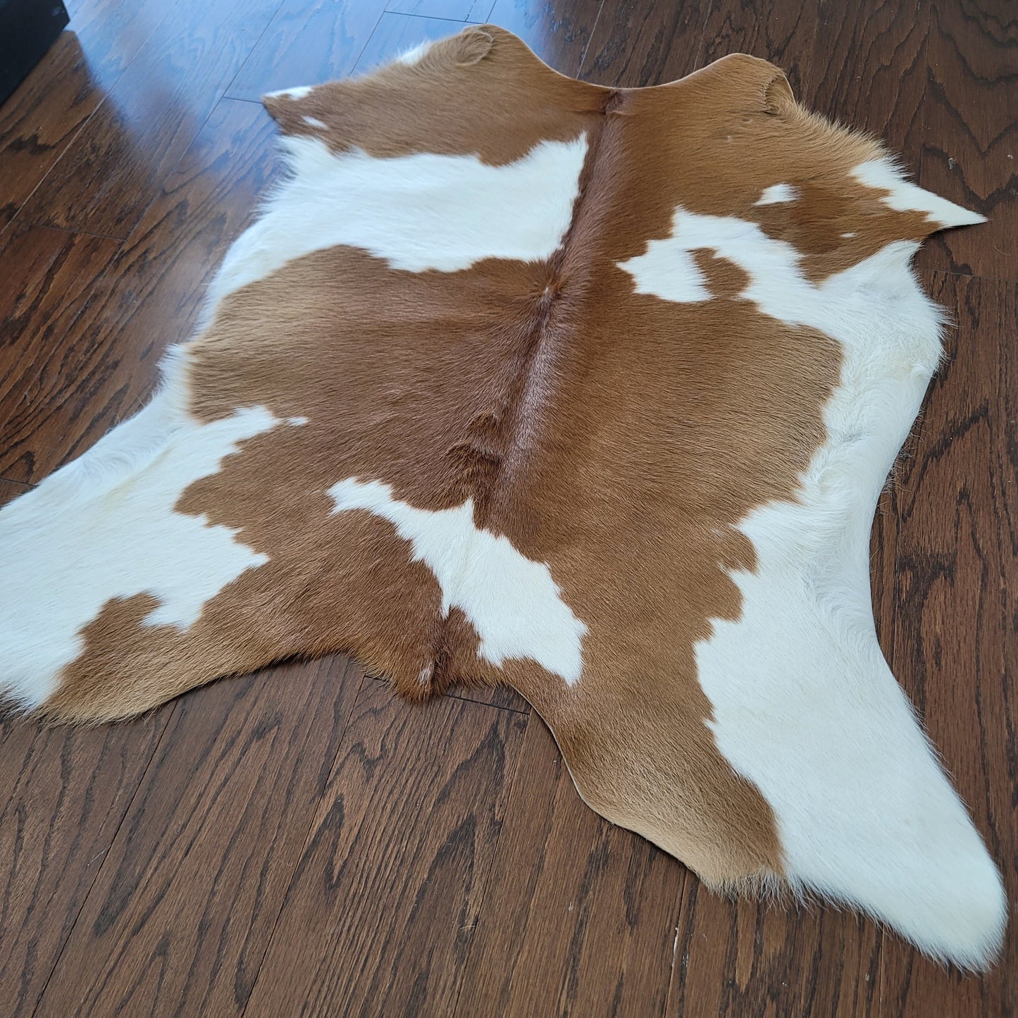 Brown and White Calf Hides