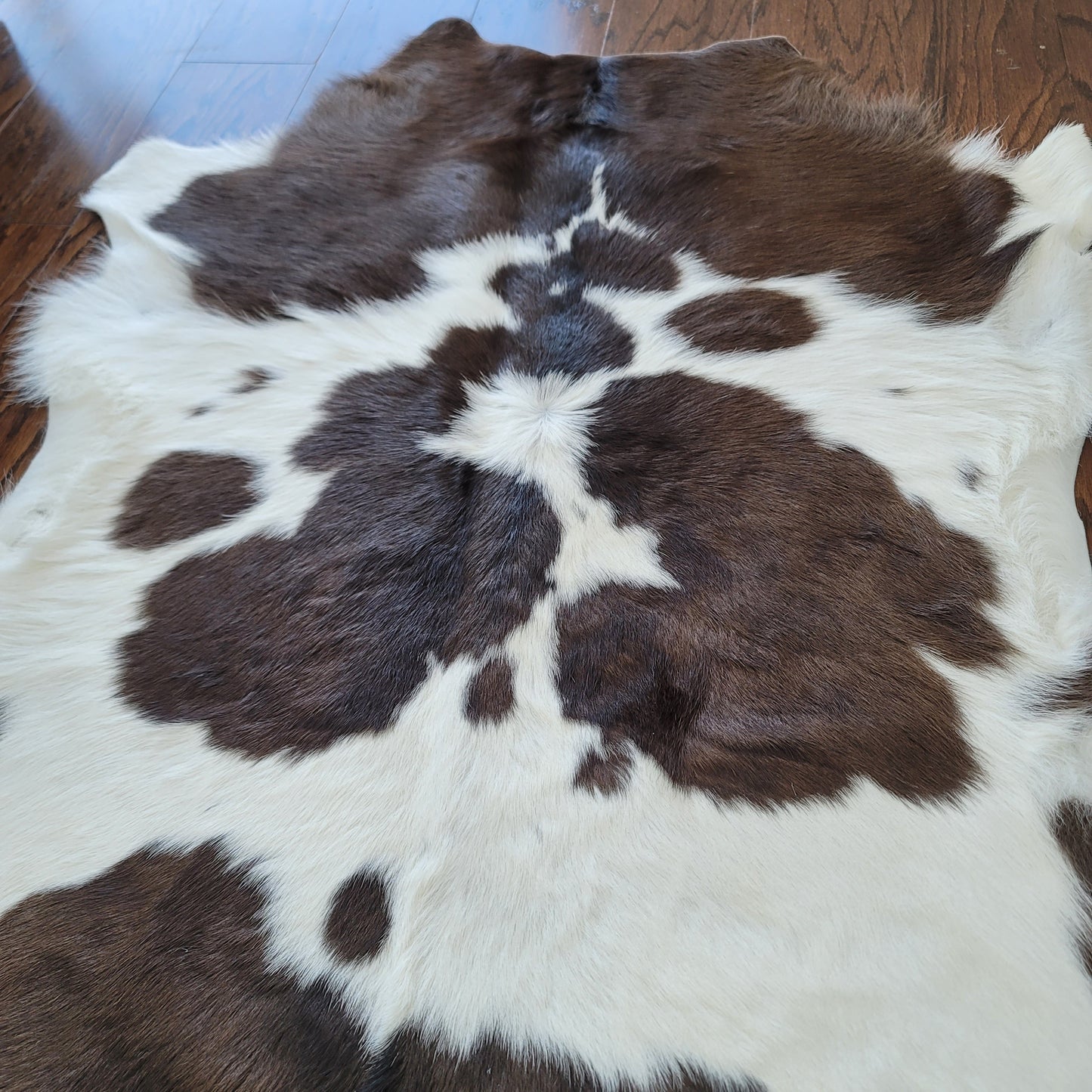 Chocolate and White Calf Hides