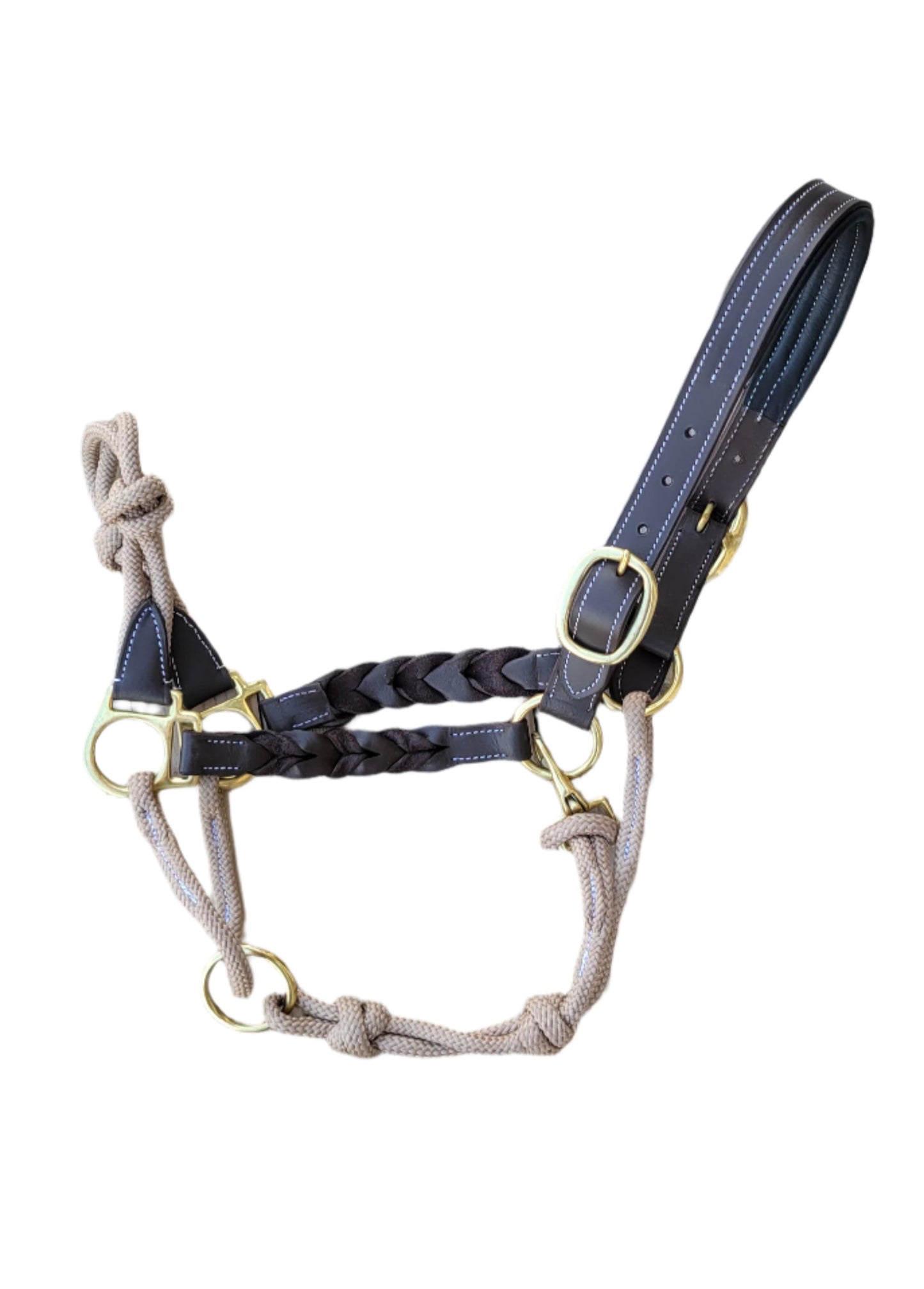 The Phoenix Braided Fusion Halter