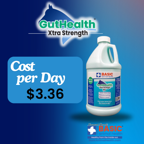 GutHealth Xtra Strength Gel for Horses - Bottles