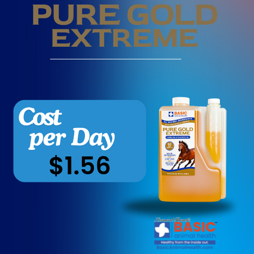 Pure Gold Extreme for Horses