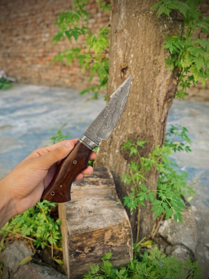 The Hunter's Favorite: 10-Inch Hunting Knife with Damascus Steel Blade, Rosewood Handle, and Damascus Guard