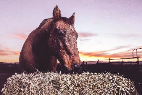 3 String Square Bale Hay Net