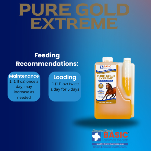 Pure Gold Extreme for Horses