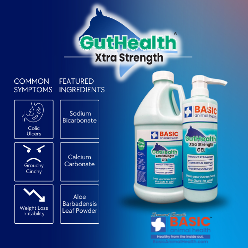 GutHealth Xtra Strength Gel for Horses - Bottles