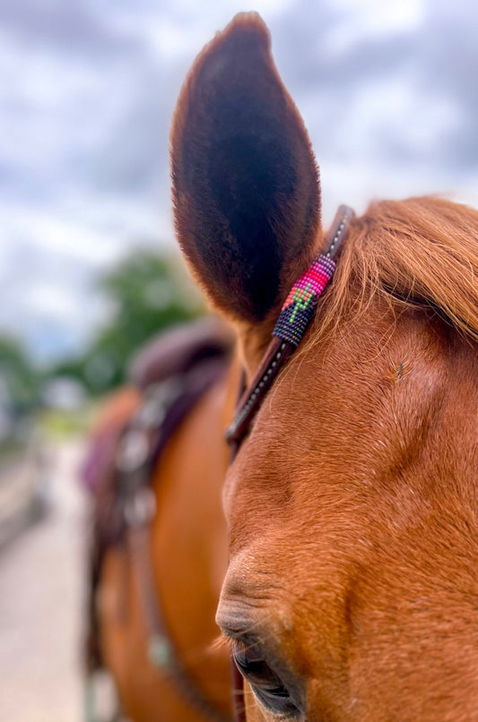Desert Sunset *Mini* Beaded Headstall