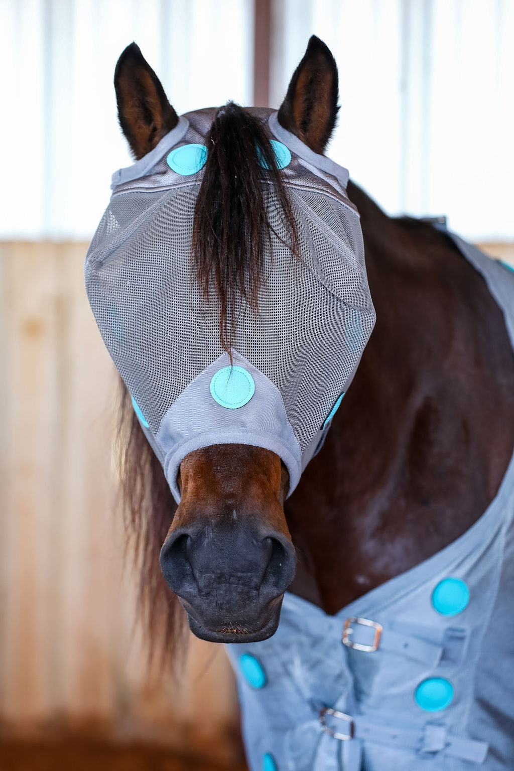 Magnetic Therapy Fly Mask