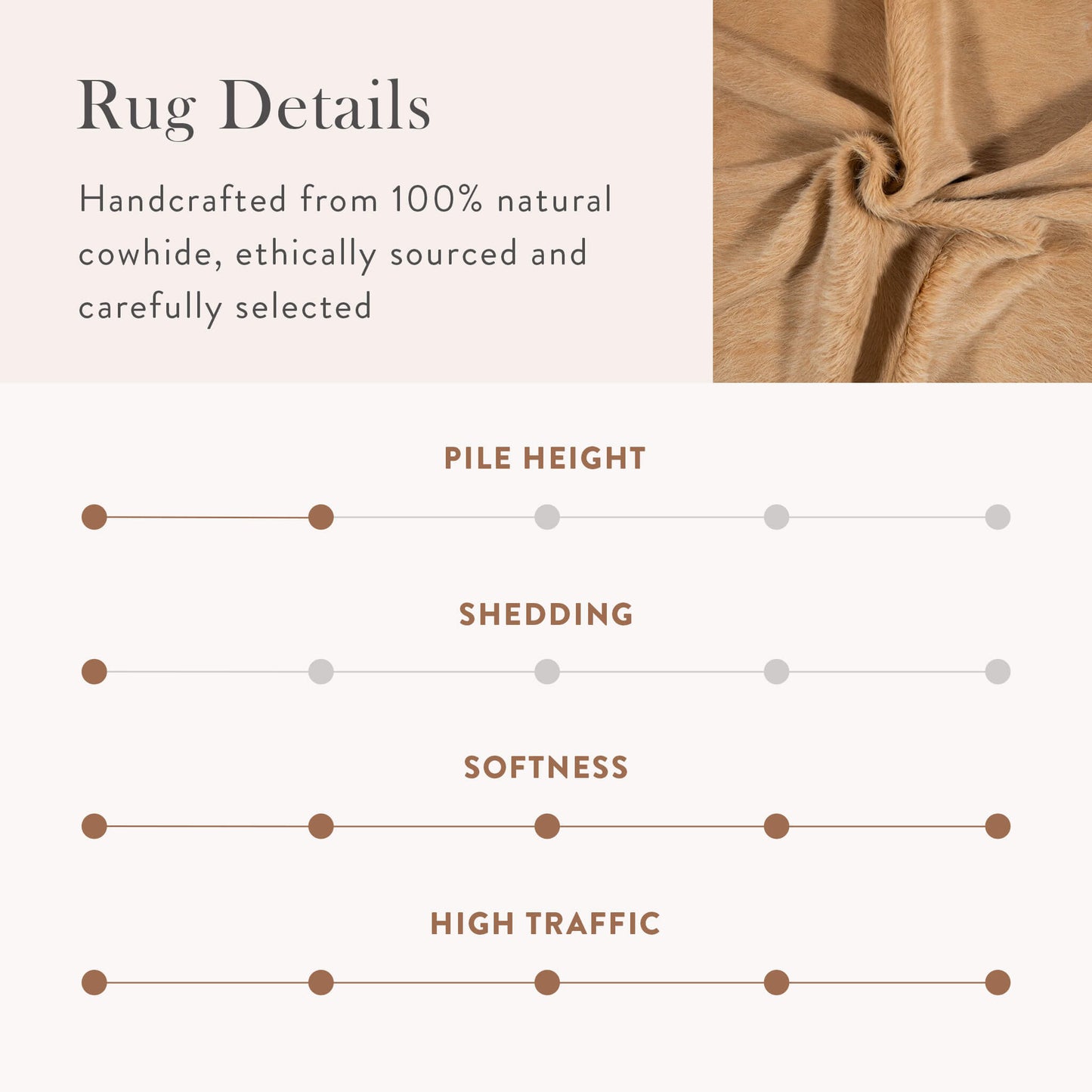 Palomino Brazilian Cowhide Rug: XL