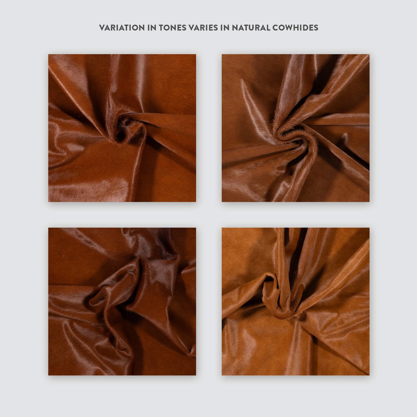 Dark Brown Brazilian Cowhide Rug: XL