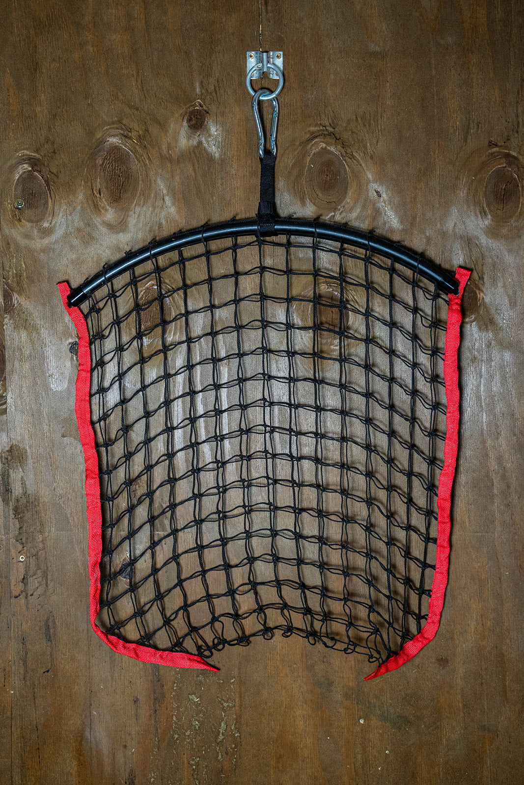 Regular Net