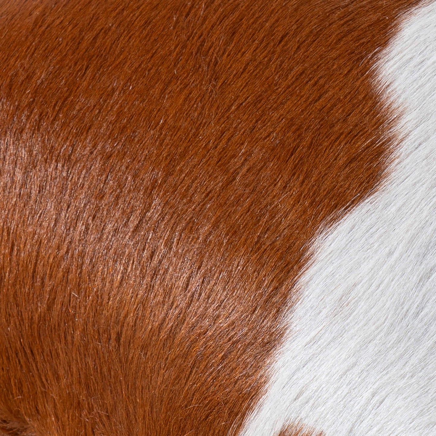 Brown and White Cowhide Pillow