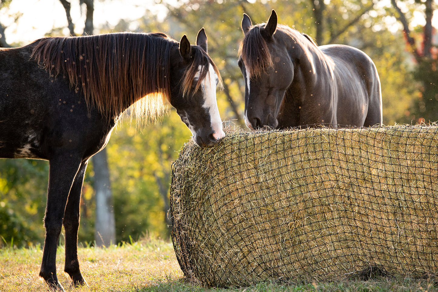 Large Square Bale Hay Net