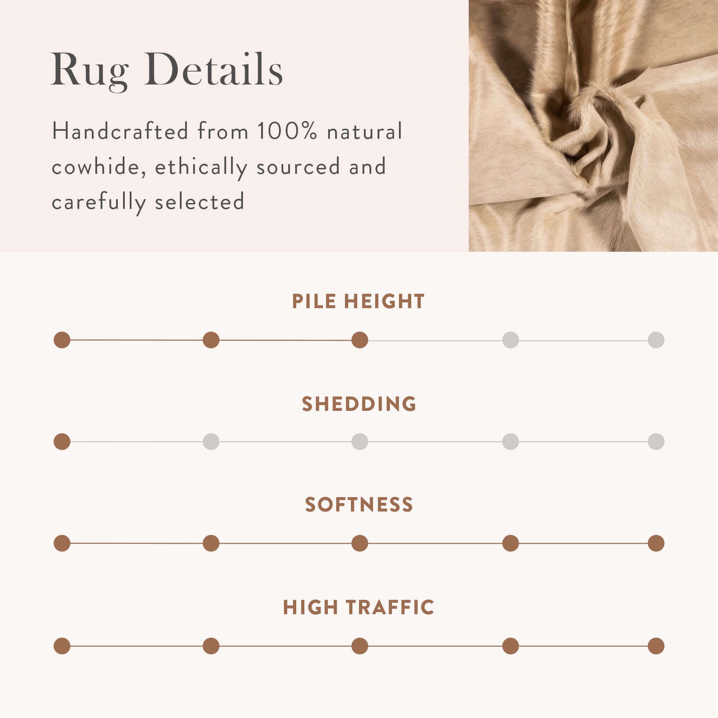 Champagne Brazilian Cowhide Rug: XXL