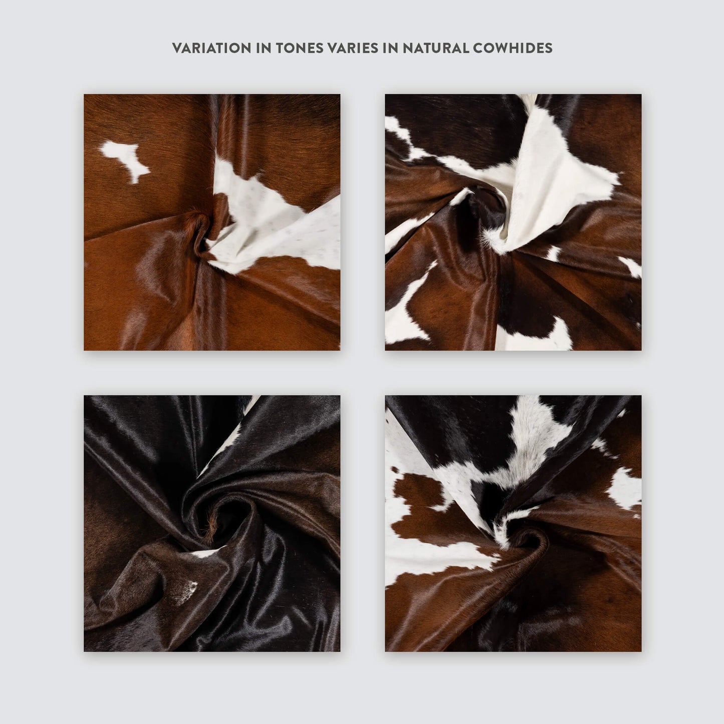 Chocolate and White Brazilian Cowhide Rug: LARGE