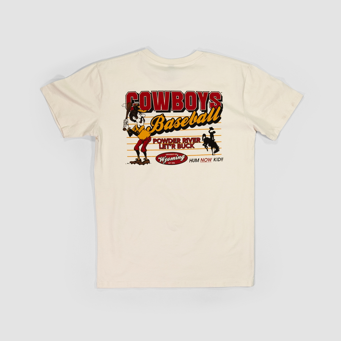 Big League Cowboys Baseball