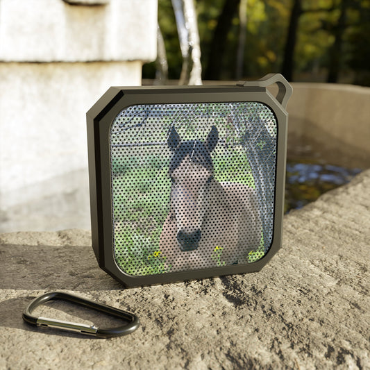 Custom Pet Photo Bluetooth Speaker, Waterproof Outdoor Speaker with Clip, Personalized Gift for Pet Lovers, Horse Girls, Dog Moms, Animal