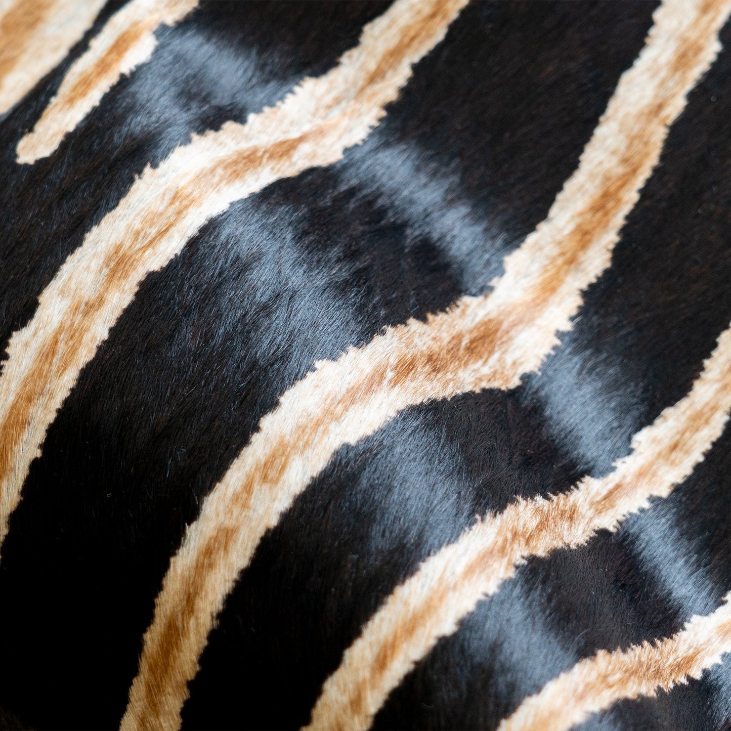 Zebra Safari Cowhide Rug