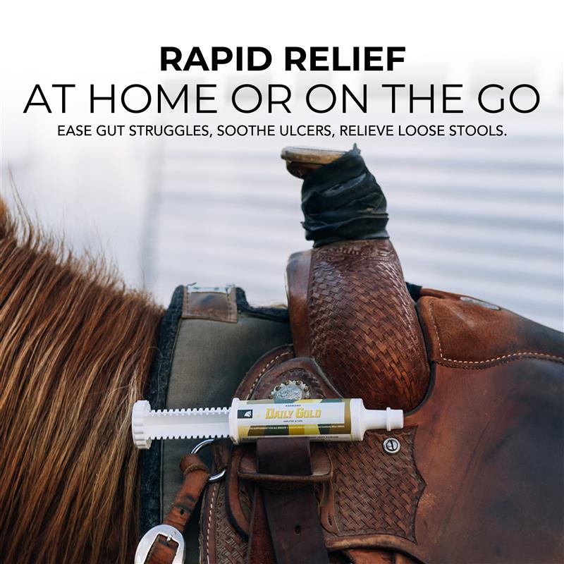 Daily Gold® Paste - Digestive Stress Relief for Horses