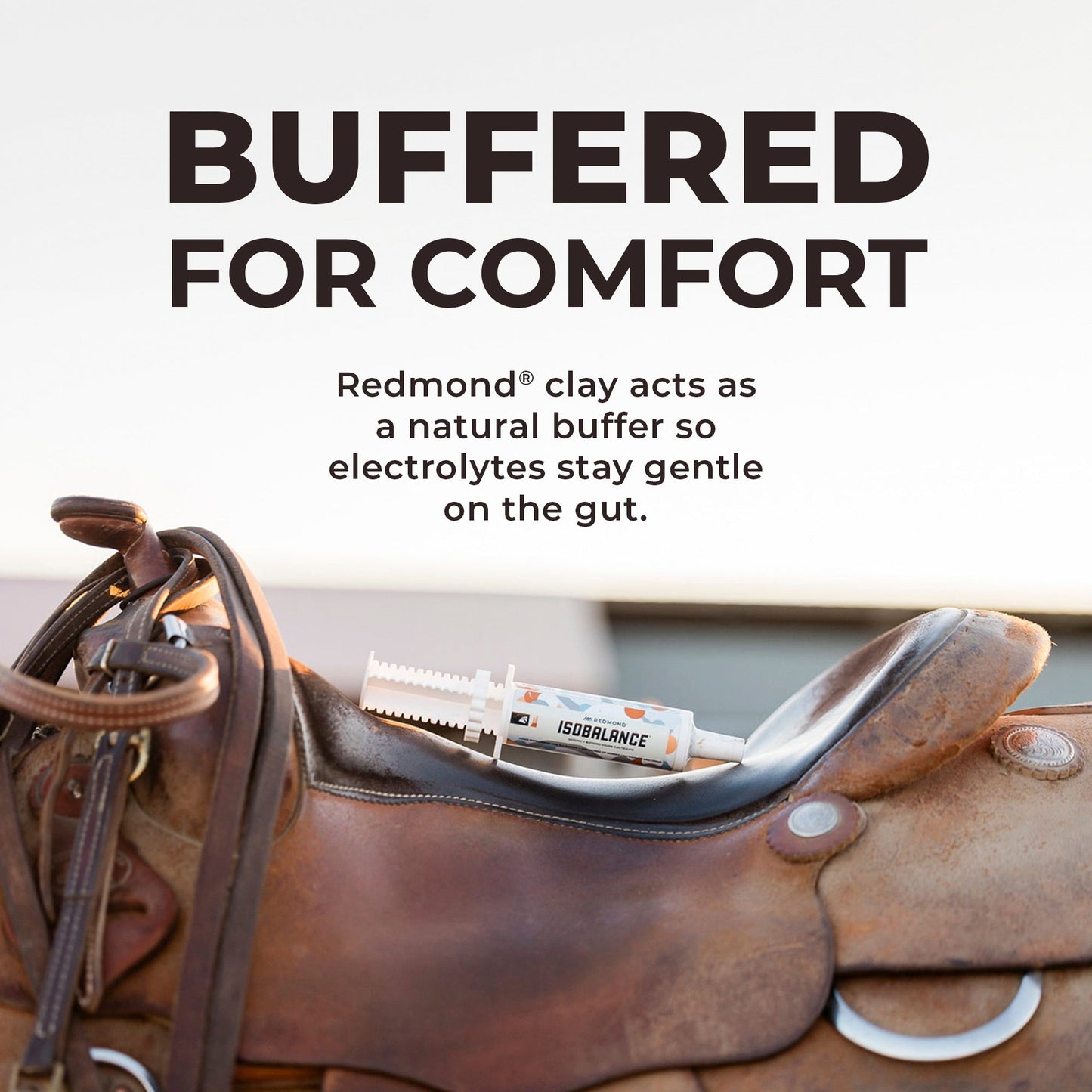 IsoBalance - Horse Electrolyte Paste