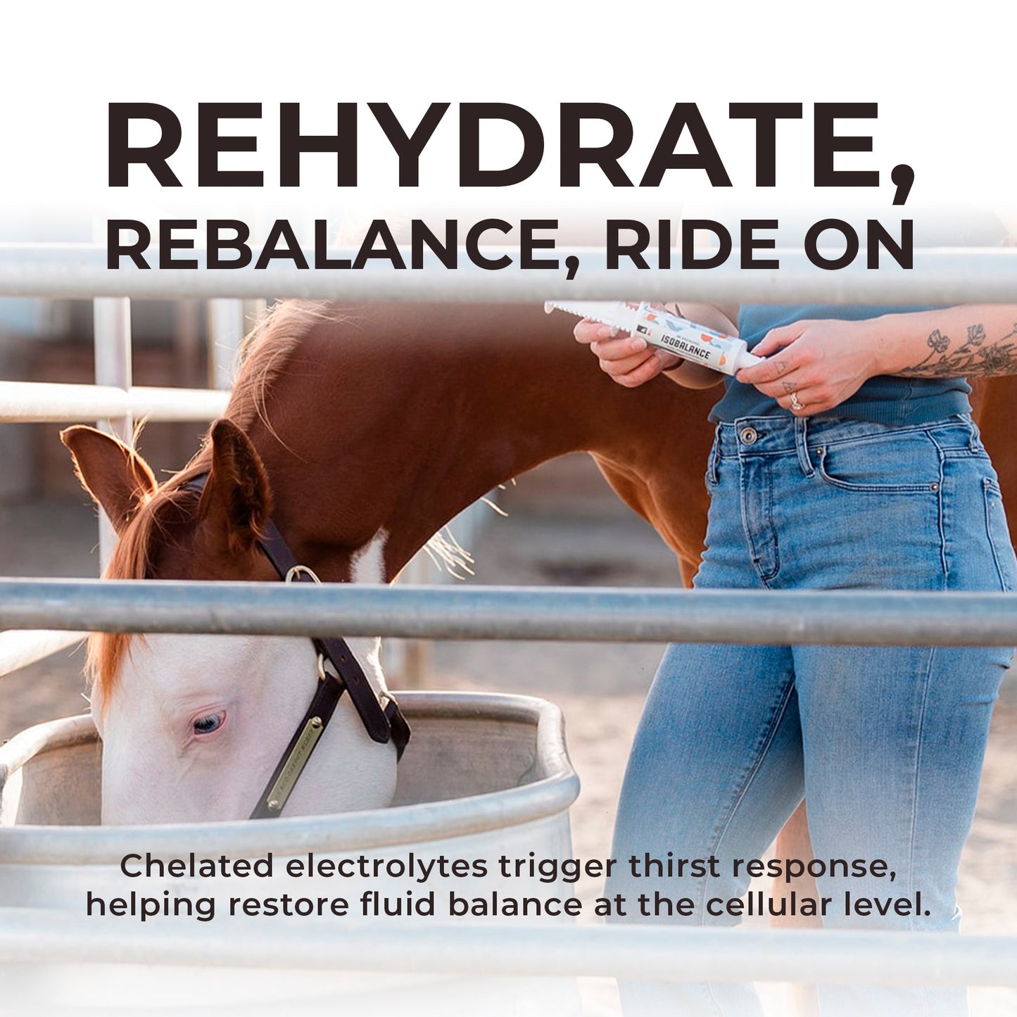 IsoBalance - Horse Electrolyte Paste