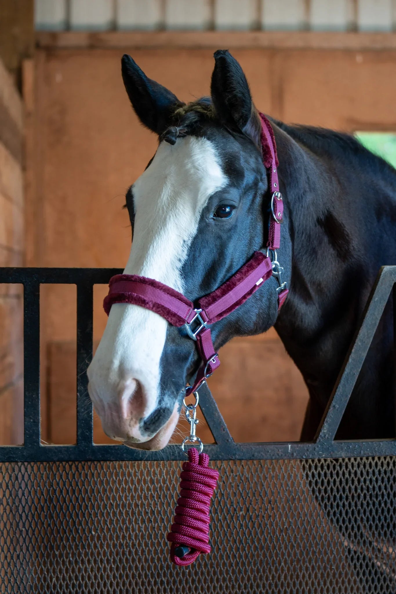 Fleece-Lined Nylon Halter with Lead Rope