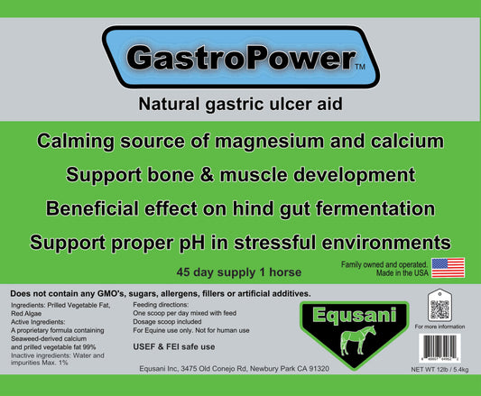 GastroPower – Natural Digestive Support for Horses