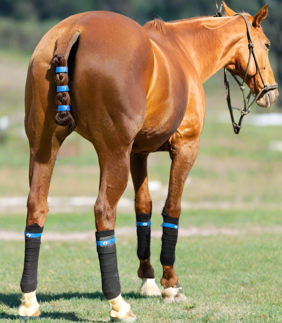 TailCinch™  Equine Tail Ties (Original)