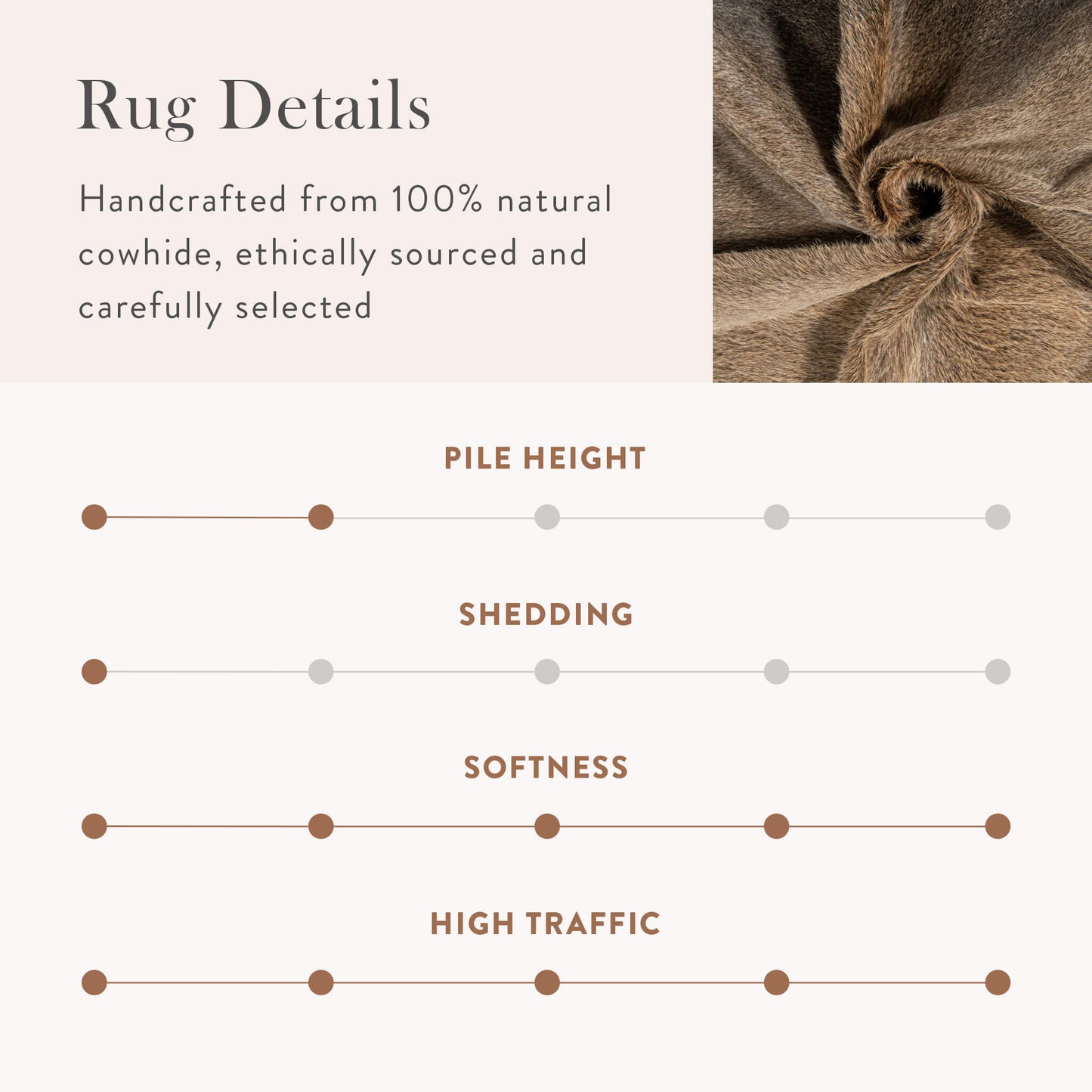 Grey Palomino Brazilian Cowhide Rug: LARGE