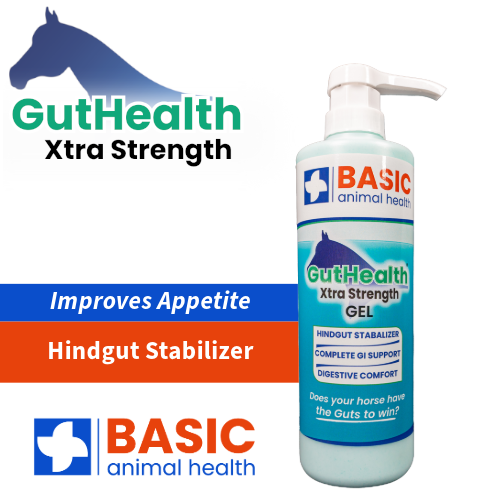 GutHealth Xtra Strength Gel for Horses - Bottles