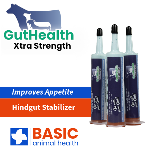 GutHealth Xtra Strength Gel for Livestock - 3 Pack