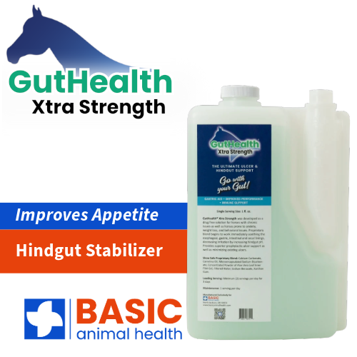 GutHealth Xtra Strength Liquid Supplement for Horses