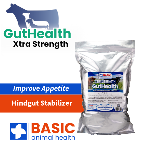 GutHealth Xtra Strength Pellets Supplement for Livestock