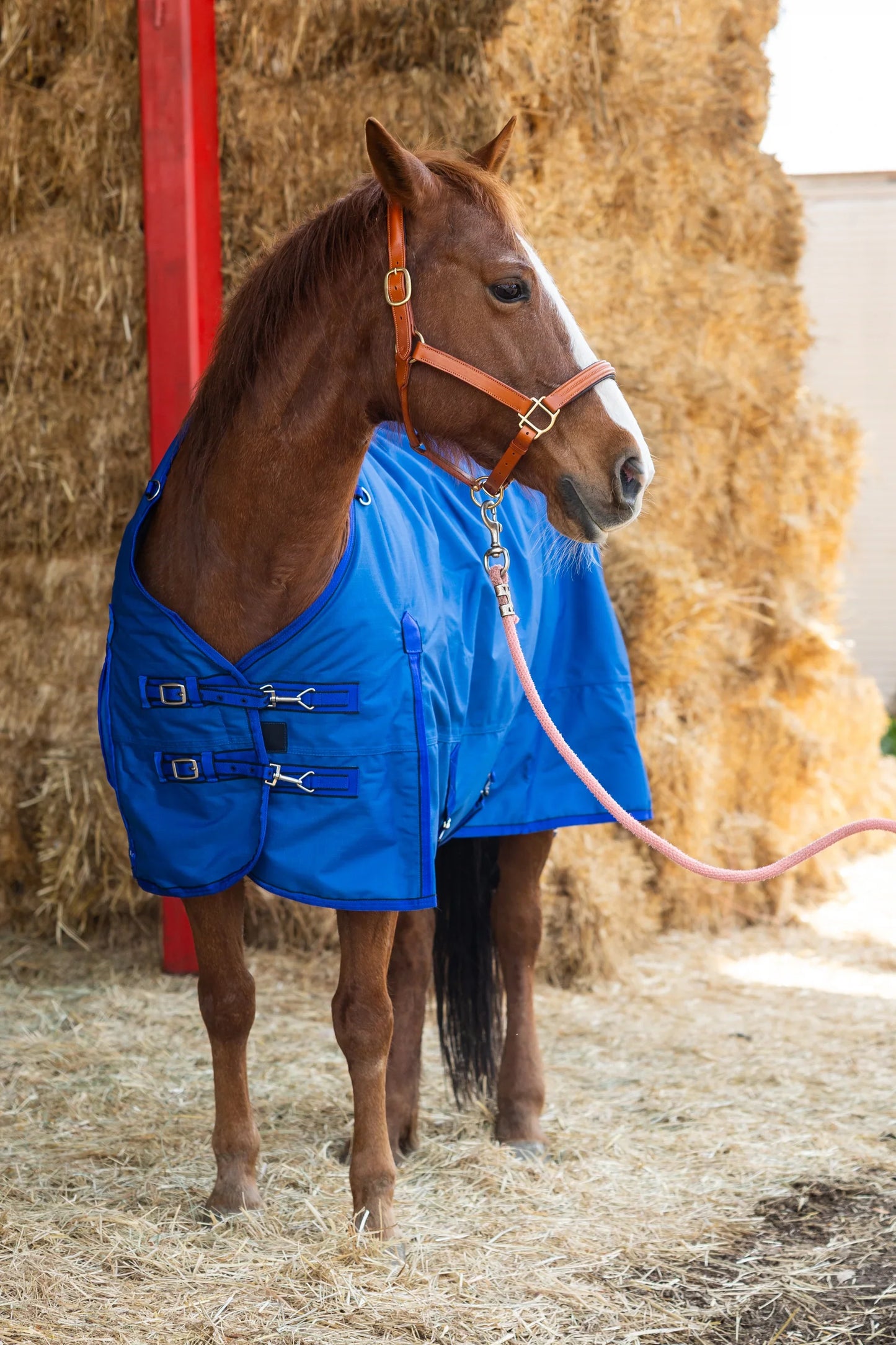 600D Turnout & Stable Blanket