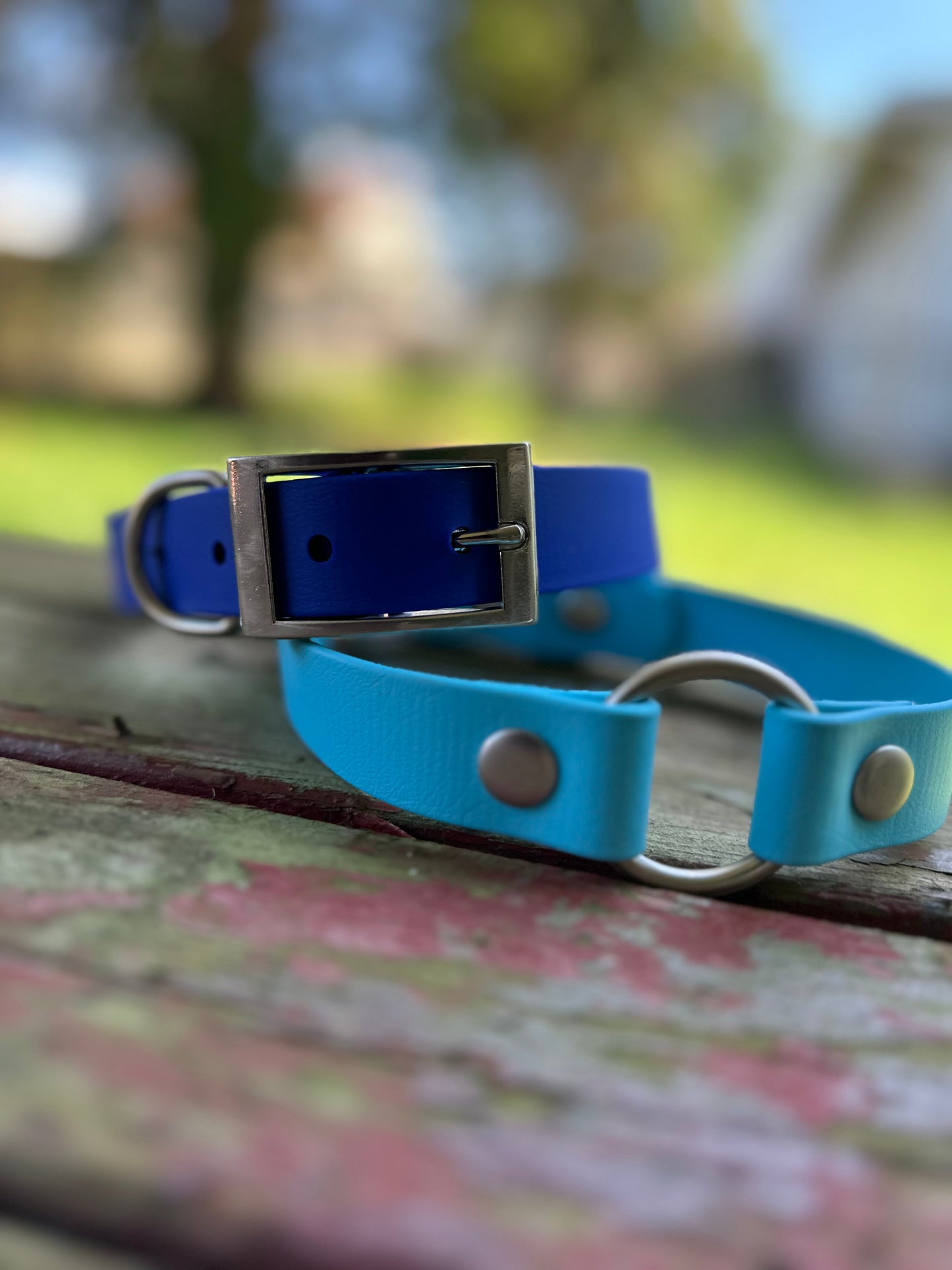 Sport Collar - Biothane