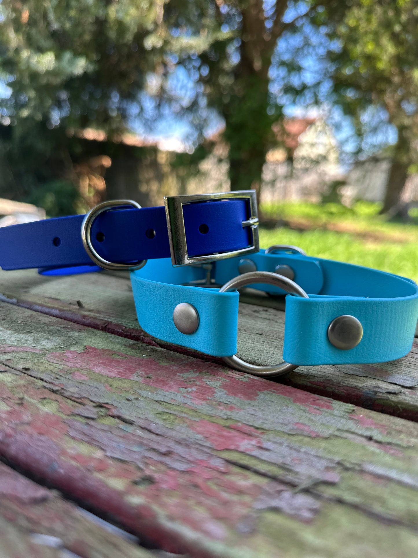 Sport Collar - Biothane