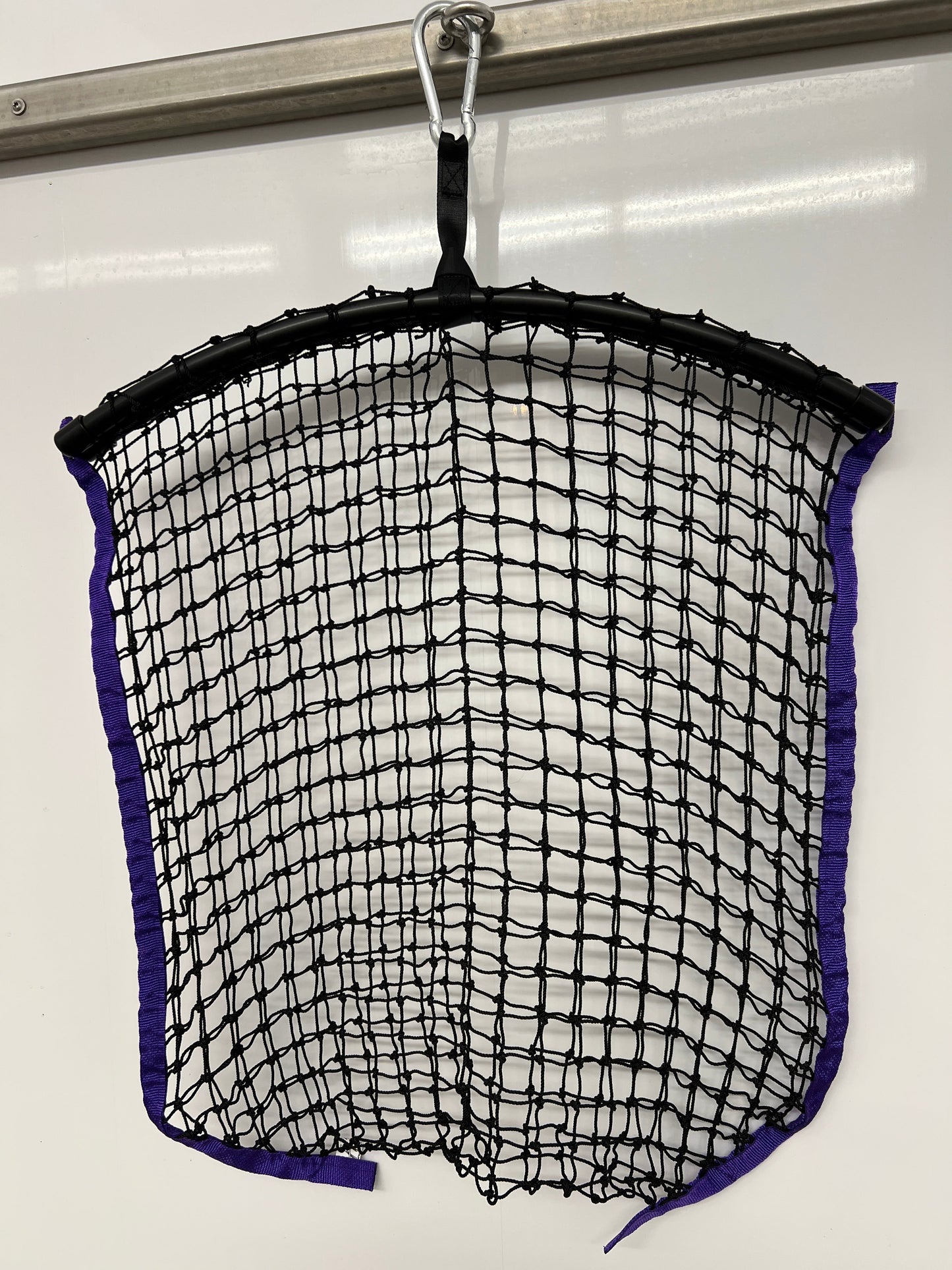 Regular Net