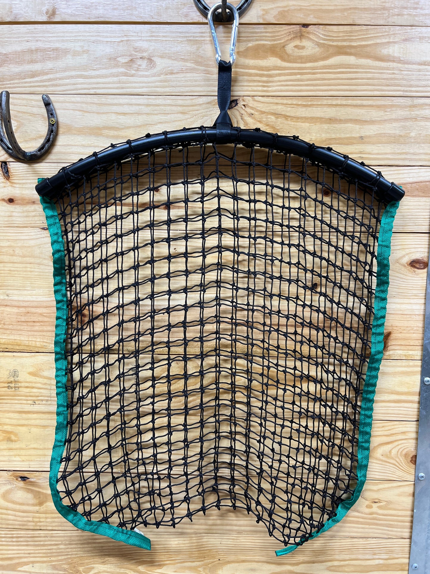 Regular Net