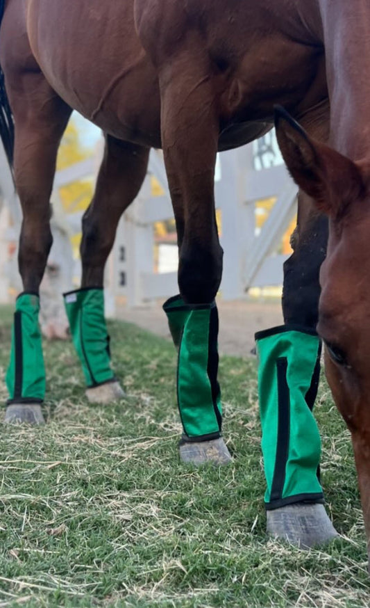 ByeBye Flyboots