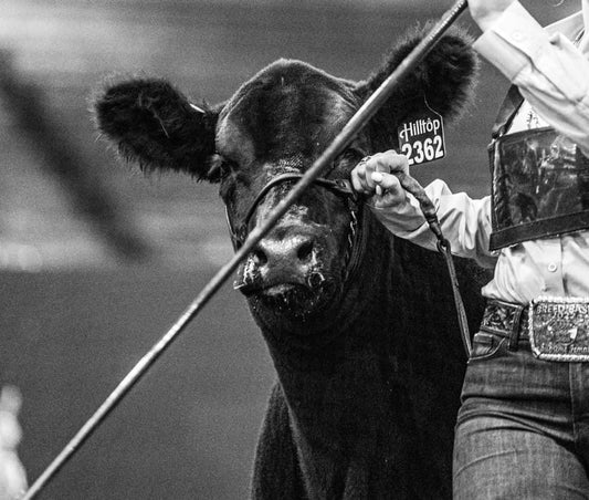 Ritchey Engraved Lot Sale Eartags